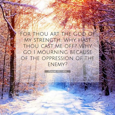Picture 07 - Psalms 43:2 ASV - For thou art the God of my strength; why hast - Bible Verse Picture