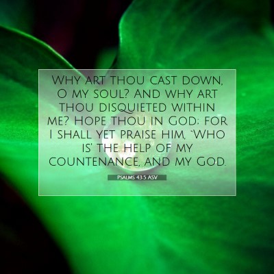 Picture 07 - Psalms 43:5 ASV - Why art thou cast down, O my soul? And why art - Bible Verse Picture