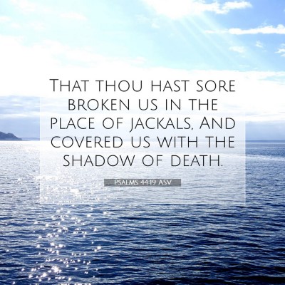 Picture 07 - Psalms 44:19 ASV - That thou hast sore broken us in the place of - Bible Verse Picture