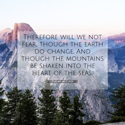 Picture 07 - Psalms 46:2 ASV - Therefore will we not fear, though the earth do - Bible Verse Picture