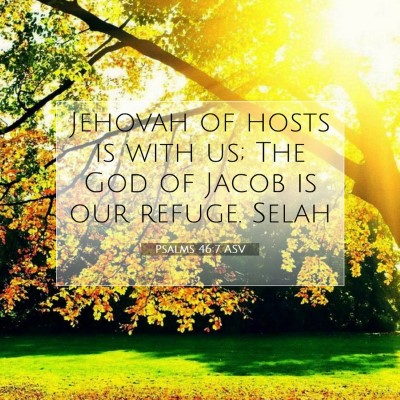 Picture 07 - Psalms 46:7 ASV - Jehovah of hosts is with us; The God of Jacob is - Bible Verse Picture