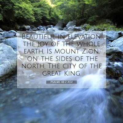 Picture 07 - Psalms 48:2 ASV - Beautiful in elevation, the joy of the whole - Bible Verse Picture