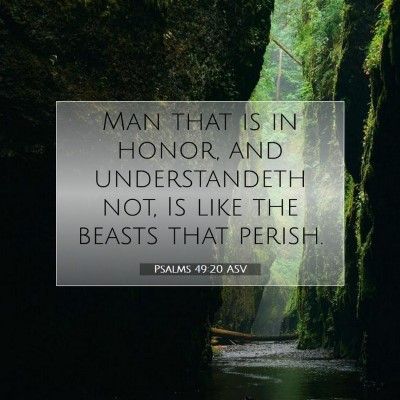 Picture 07 - Psalms 49:20 ASV - Man that is in honor, and understandeth not, Is - Bible Verse Picture