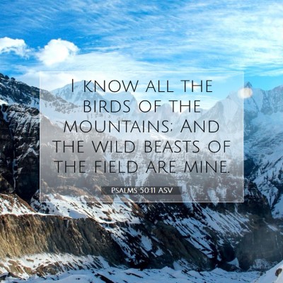 Picture 07 - Psalms 50:11 ASV - I know all the birds of the mountains; And the - Bible Verse Picture