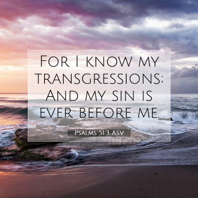 Picture 07 - Psalms 51:3 ASV - For I know my transgressions; And my sin is ever - Bible Verse Picture