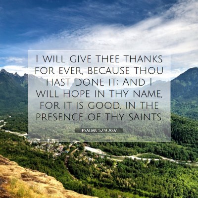 Picture 07 - Psalms 52:9 ASV - I will give thee thanks for ever, because thou - Bible Verse Picture