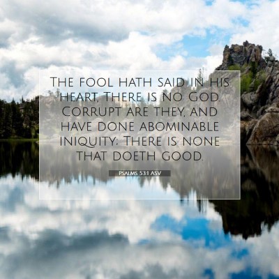 Picture 07 - Psalms 53:1 ASV - The fool hath said in his heart, There is no God. - Bible Verse Picture