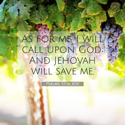 Picture 07 - Psalms 55:16 ASV - As for me, I will call upon God; And Jehovah will - Bible Verse Picture