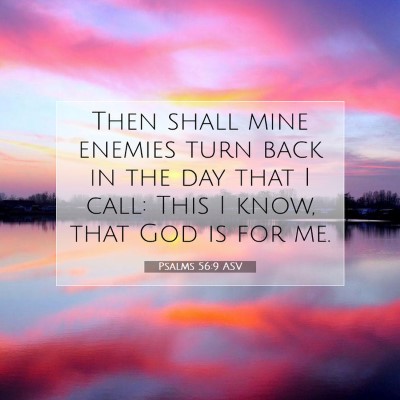 Picture 07 - Psalms 56:9 ASV - Then shall mine enemies turn back in the day that - Bible Verse Picture