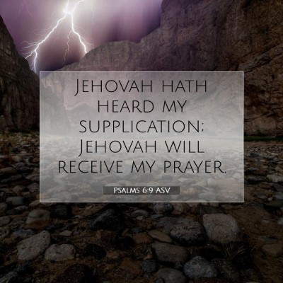 Picture 07 - Psalms 6:9 ASV - Jehovah hath heard my supplication; Jehovah will - Bible Verse Picture