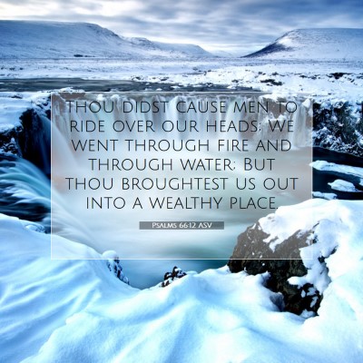 Picture 07 - Psalms 66:12 ASV - Thou didst cause men to ride over our heads; We - Bible Verse Picture