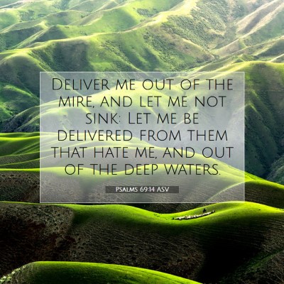 Picture 07 - Psalms 69:14 ASV - Deliver me out of the mire, and let me not sink: - Bible Verse Picture