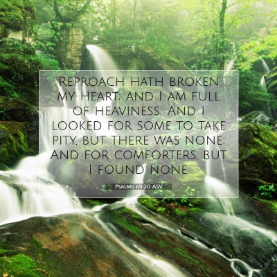 Picture 07 - Psalms 69:20 ASV - Reproach hath broken my heart; and I am full of - Bible Verse Picture