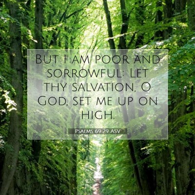 Picture 07 - Psalms 69:29 ASV - But I am poor and sorrowful: Let thy salvation, O - Bible Verse Picture