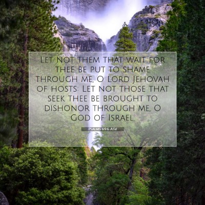 Picture 07 - Psalms 69:6 ASV - Let not them that wait for thee be put to shame - Bible Verse Picture