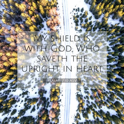 Picture 07 - Psalms 7:10 ASV - My shield is with God, Who saveth the upright in - Bible Verse Picture