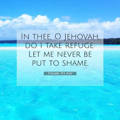 Picture 07 - Psalms 71:1 ASV - In thee, O Jehovah, do I take refuge: Let me - Bible Verse Picture