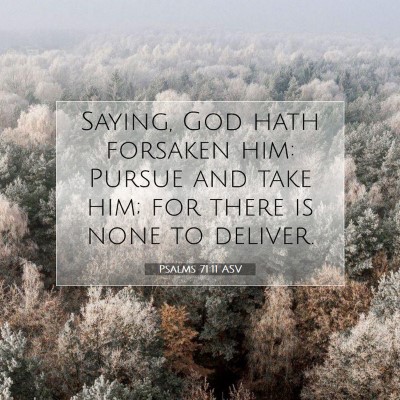 Picture 07 - Psalms 71:11 ASV - Saying, God hath forsaken him: Pursue and take - Bible Verse Picture