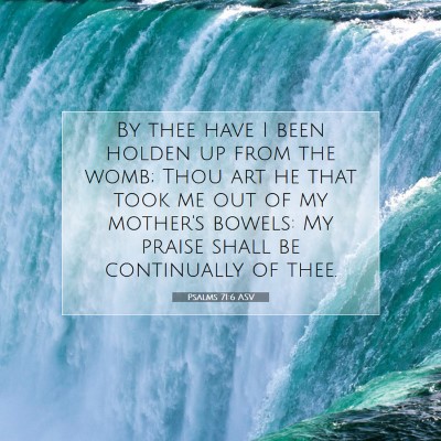 Picture 07 - Psalms 71:6 ASV - By thee have I been holden up from the womb; Thou - Bible Verse Picture