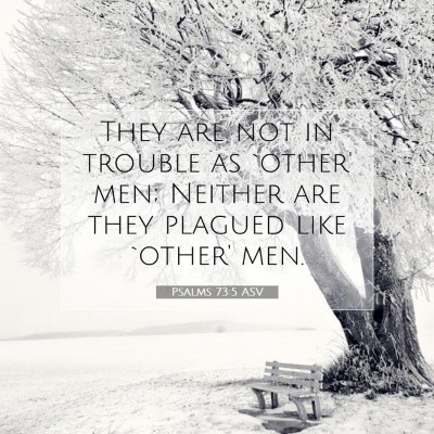 Picture 07 - Psalms 73:5 ASV - They are not in trouble as `other' men; Neither - Bible Verse Picture