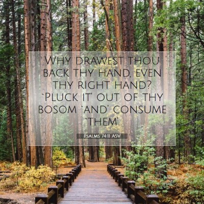 Picture 07 - Psalms 74:11 ASV - Why drawest thou back thy hand, even thy right - Bible Verse Picture