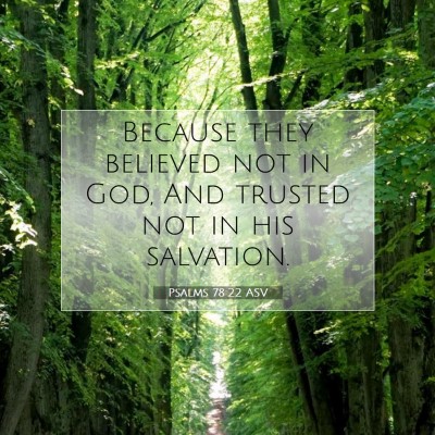 Picture 07 - Psalms 78:22 ASV - Because they believed not in God, And trusted not - Bible Verse Picture