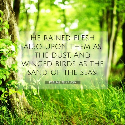 Picture 07 - Psalms 78:27 ASV - He rained flesh also upon them as the dust, And - Bible Verse Picture