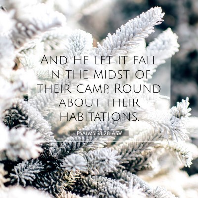 Picture 07 - Psalms 78:28 ASV - And he let it fall in the midst of their camp, - Bible Verse Picture