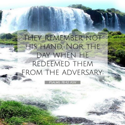 Picture 07 - Psalms 78:42 ASV - They remember not his hand, Nor the day when he - Bible Verse Picture