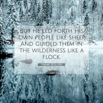 Picture 07 - Psalms 78:52 ASV - But he led forth his own people like sheep, And - Bible Verse Picture