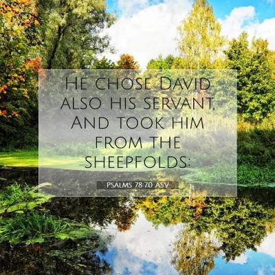 Picture 07 - Psalms 78:70 ASV - He chose David also his servant, And took him - Bible Verse Picture