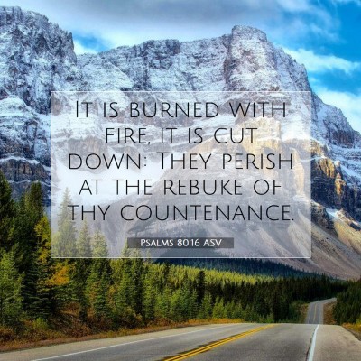Picture 07 - Psalms 80:16 ASV - It is burned with fire, it is cut down: They - Bible Verse Picture