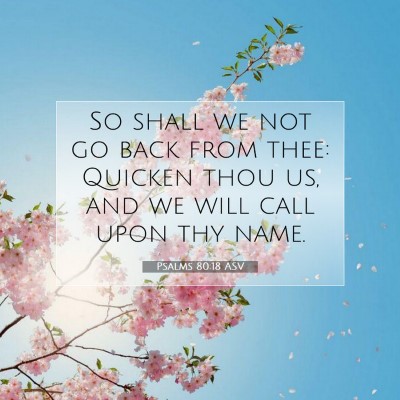 Picture 07 - Psalms 80:18 ASV - So shall we not go back from thee: Quicken thou - Bible Verse Picture
