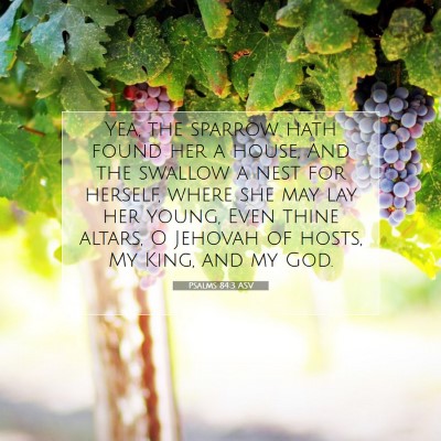Picture 07 - Psalms 84:3 ASV - Yea, the sparrow hath found her a house, And the - Bible Verse Picture