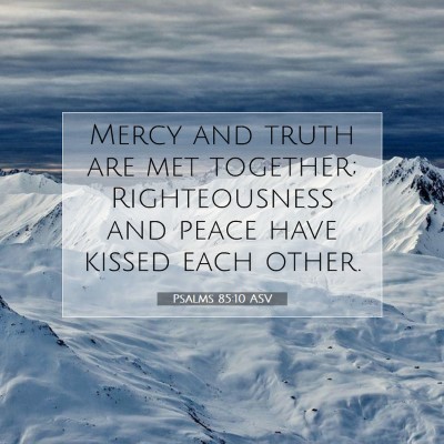 Picture 07 - Psalms 85:10 ASV - Mercy and truth are met together; Righteousness - Bible Verse Picture
