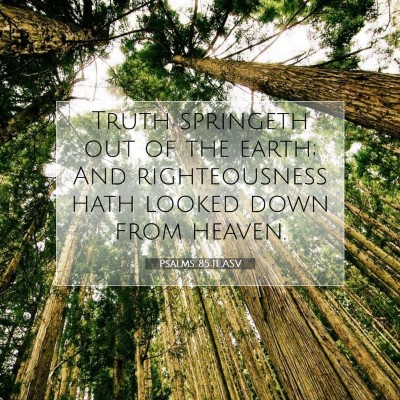 Picture 07 - Psalms 85:11 ASV - Truth springeth out of the earth; And - Bible Verse Picture