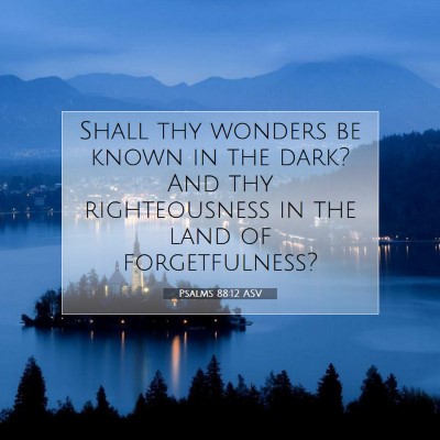 Picture 07 - Psalms 88:12 ASV - Shall thy wonders be known in the dark? And thy - Bible Verse Picture
