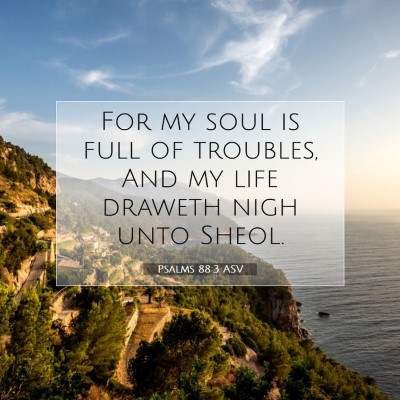 Picture 07 - Psalms 88:3 ASV - For my soul is full of troubles, And my life - Bible Verse Picture