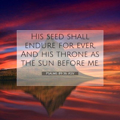 Picture 07 - Psalms 89:36 ASV - His seed shall endure for ever, And his throne as - Bible Verse Picture