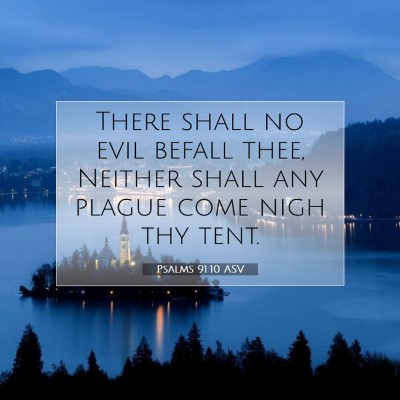 Picture 07 - Psalms 91:10 ASV - There shall no evil befall thee, Neither shall - Bible Verse Picture