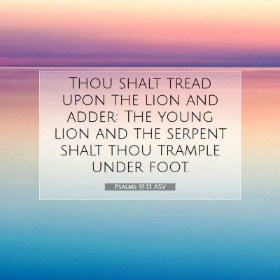 Picture 07 - Psalms 91:13 ASV - Thou shalt tread upon the lion and adder: The - Bible Verse Picture