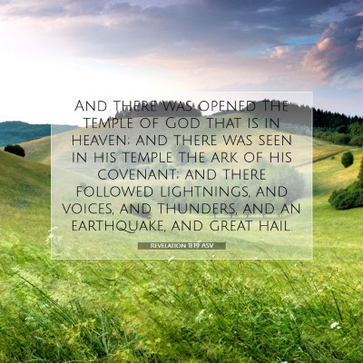 Picture 07 - Revelation 11:19 ASV - And there was opened the temple of God that is in - Bible Verse Picture