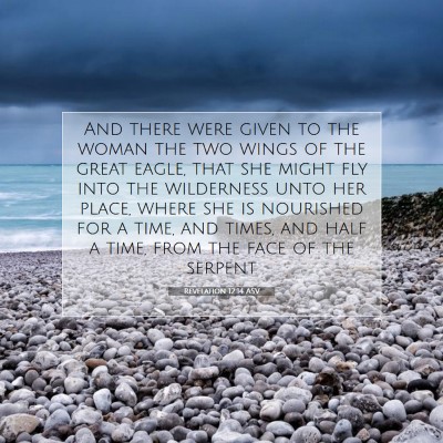 Picture 07 - Revelation 12:14 ASV - And there were given to the woman the two wings - Bible Verse Picture