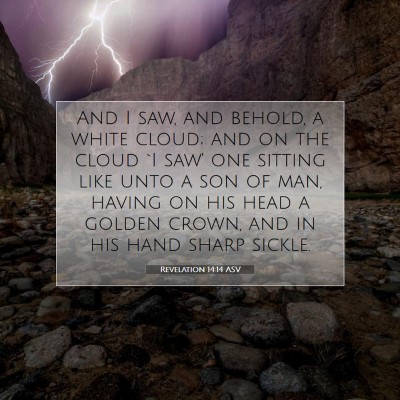 Picture 07 - Revelation 14:14 ASV - And I saw, and behold, a white cloud; and on the - Bible Verse Picture