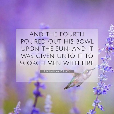 Picture 07 - Revelation 16:8 ASV - And the fourth poured out his bowl upon the sun; - Bible Verse Picture