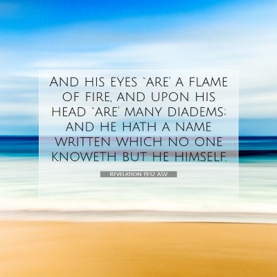 Picture 07 - Revelation 19:12 ASV - And his eyes `are' a flame of fire, and upon his - Bible Verse Picture