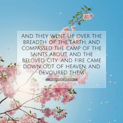 Picture 07 - Revelation 20:9 ASV - And they went up over the breadth of the earth, - Bible Verse Picture