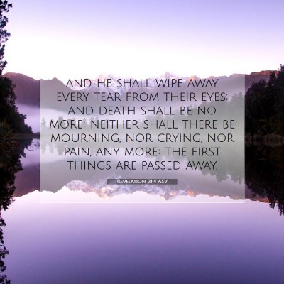 Picture 07 - Revelation 21:4 ASV - and he shall wipe away every tear from their - Bible Verse Picture