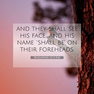 Picture 07 - Revelation 22:4 ASV - and they shall see his face; and his name `shall - Bible Verse Picture