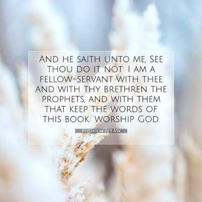 Picture 07 - Revelation 22:9 ASV - And he saith unto me, See thou do it not: I am a - Bible Verse Picture